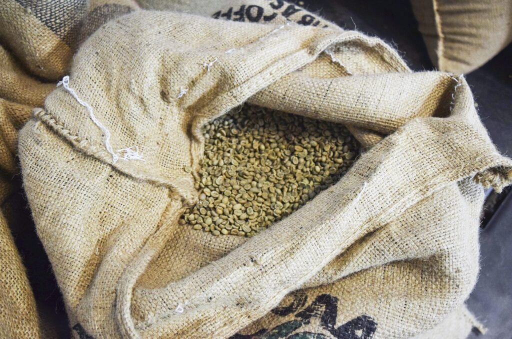 コーヒーの生豆の画像