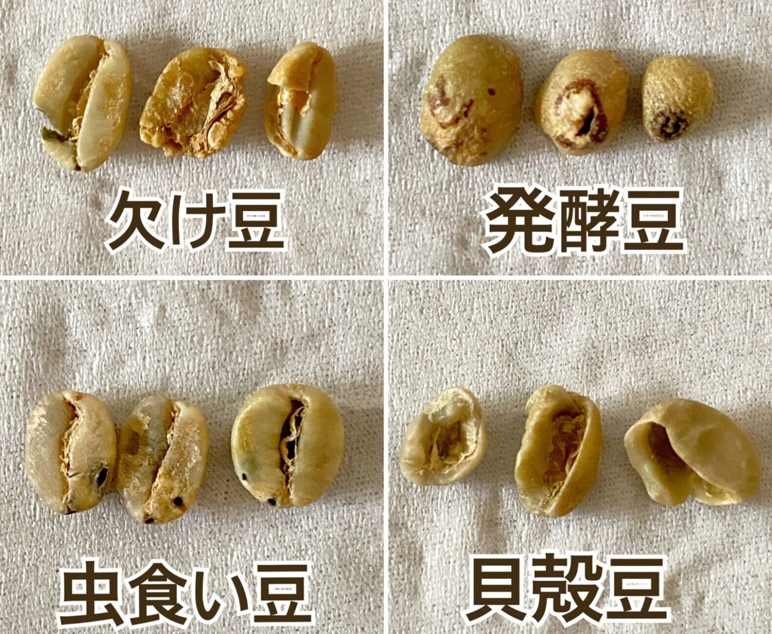 【コーヒー豆の品質管理とは？】ハンドピックって何？【欠点豆の存在】 Aandk Coffee