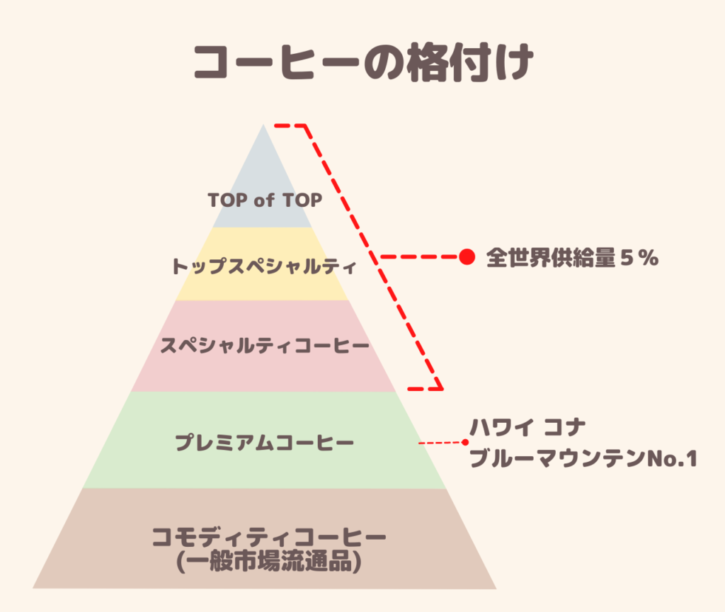 コーヒーピラミッドの表グラフの画像